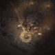 Image for article titled One Night In Darkwood Will Ruin Forests For You